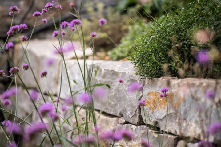 GEWA Website Gartenbau Muenchenbuchsee 03