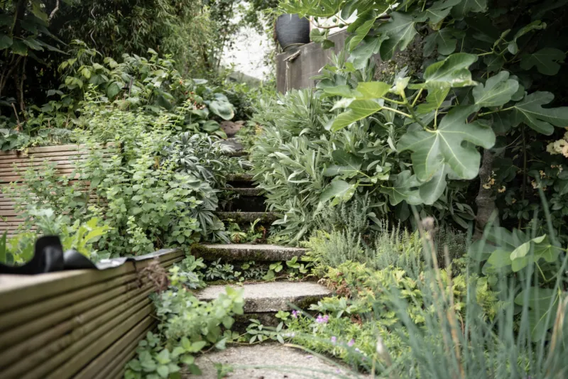 GEWA Website Gartenbau Bremgarten 02