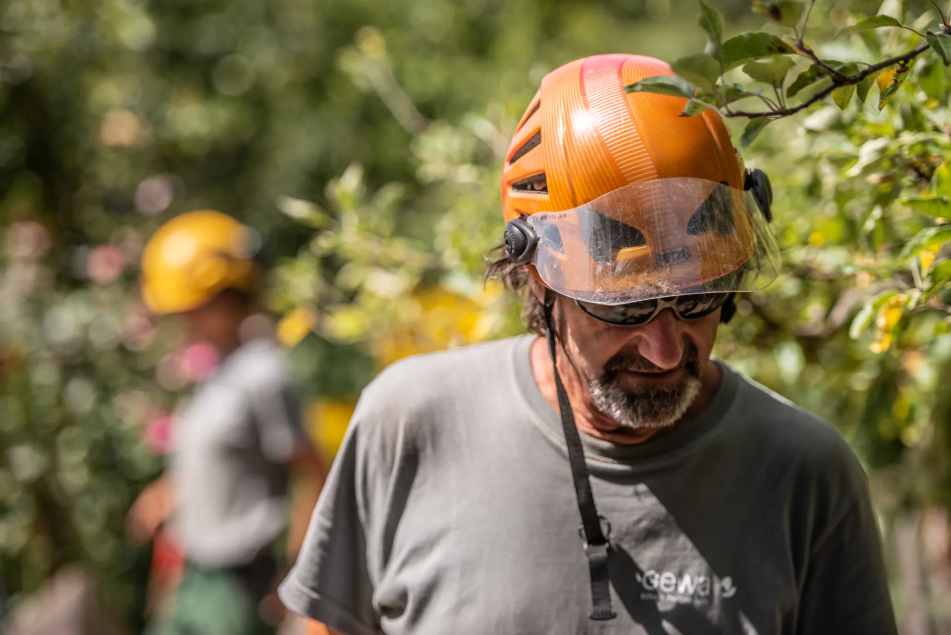 GEWA Website Gartenbau Bolligen 09