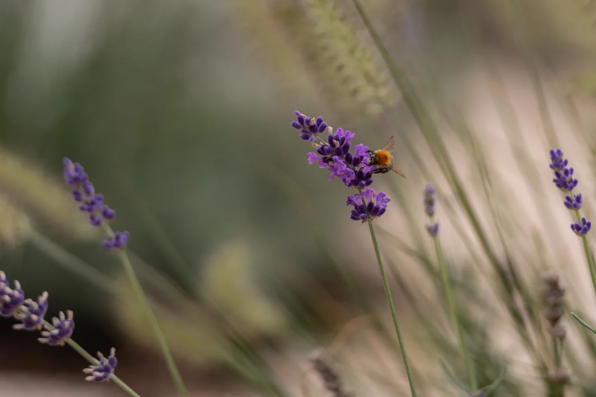 GEWA Website Gartenbau Ostermundigen 04