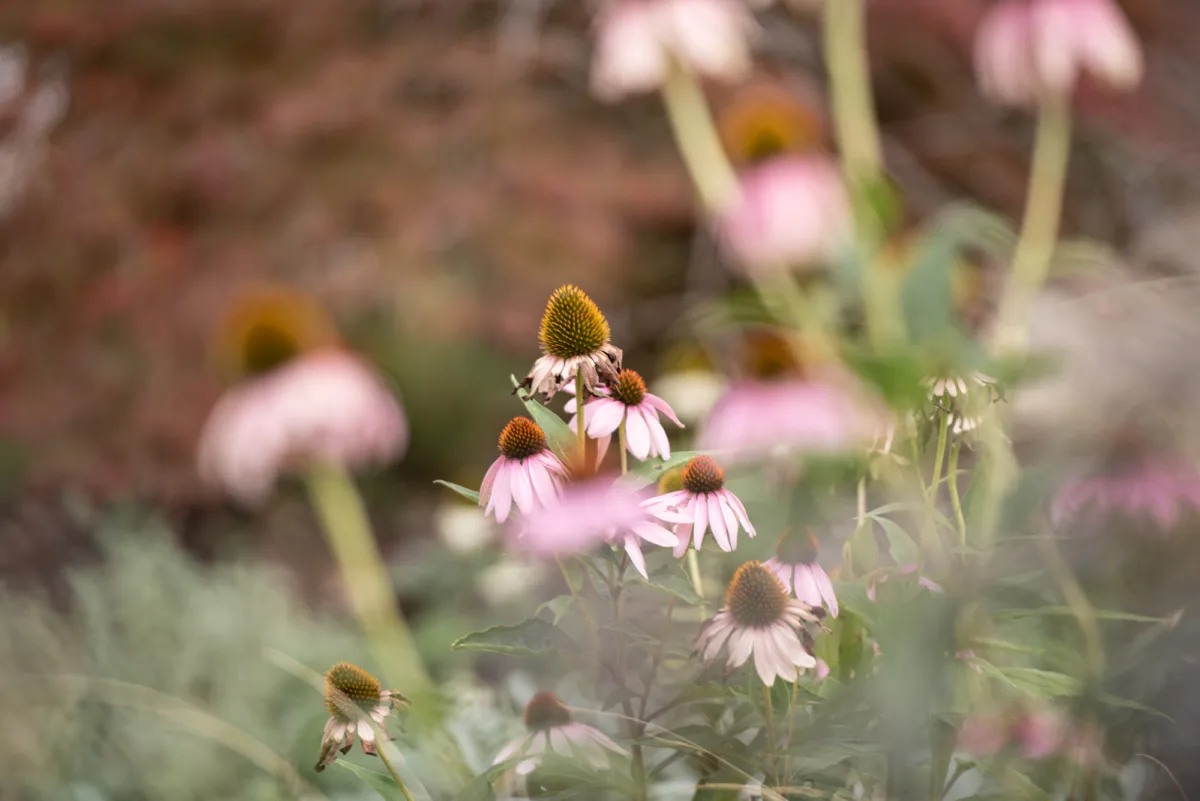 GEWA Website Gartenbau Mooseedorf 09