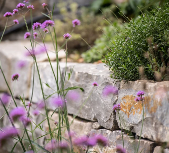 GEWA Website Gartenbau Muenchenbuchsee 03