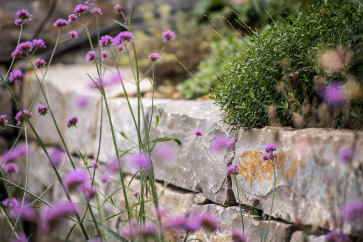 GEWA Website Gartenbau Muenchenbuchsee 03