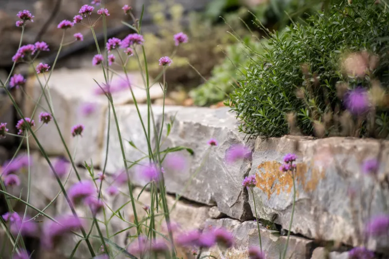 GEWA Website Gartenbau Muenchenbuchsee 03